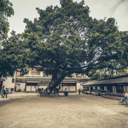 Residential Feng Shui Layout & Energy Harmonization